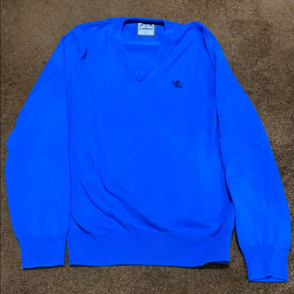 Express V neck sweater.